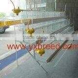 Chicken Drink System