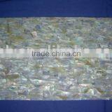 Crush Type Whitelip Shell Paper With Yellow Dapple /STICKY BACK