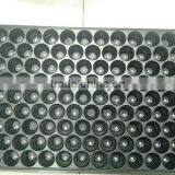 New Coming Excellent Quality Low Price Black Seedling Plug Tray thumbnail-2