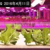 high umol led grow light tube led for lettuce hydroponic vertical farm 30w waterproof