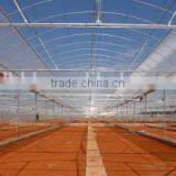 Single-Span Agricultural Planting Plastic Greenhouse thumbnail-5
