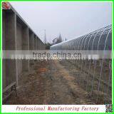 Hot Sale 9.6m Multi-span Agricultural Plastic Film Greenhouse With Cheap Price thumbnail-6