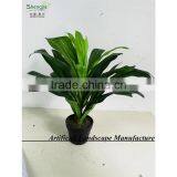 SAS201604 Cheap Artificial Green Plant Bonsai,Indoor Decor Green Plants thumbnail-3