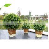 GNW GP002 Cheap Artificial Topiary Ball Plant Pot for Outdoor Decoration thumbnail-4