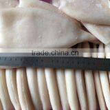 Frozen Squid Tubes With Different Size in Sale thumbnail-1