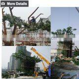 Natural Look Artificial Banyan Tree Outdoor 20 Meter High Banyan Ficus Tree thumbnail-3