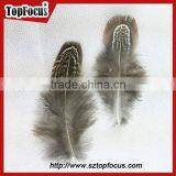 Lower Price Natural Synthetic Pheasant Feathers for Carnival Costumes thumbnail-6