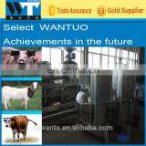 Stainless Steel Cattle Tripe Washing Machine/Sheep Tripe Cleaning Machine thumbnail-2