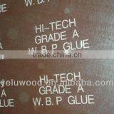Indoor Decoration Embossed Hardboard