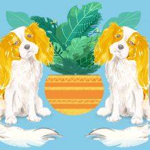 Textile Pattern Design thumbnail-2