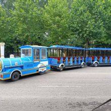 Outdoor Plaza Amusement Equipment, Plaza Toys for Kids, Scenic Area Trains, Second-hand Amusement Equipment thumbnail-1