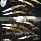 Folding Pocked Knife