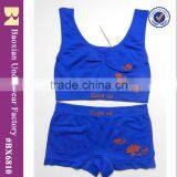 Hot and New Seamless Bra Set Athletic