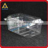 Disposable PET Packaging for Fresh Fruit thumbnail-1