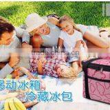 Insulated School Travel Lunch Bag Cooler Box,ice Bag thumbnail-2
