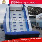 2016 China Funny Giant Inflatable Slide/titanic Inflatable Long Slide With Large Pool thumbnail-5