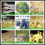 2013 Best Selling Bean Sprout Machine