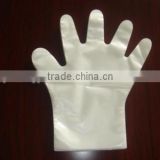 High Quality All Size PE Embossed Gloves for Sale