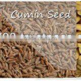Spices thumbnail-1