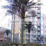 Galvanized Steel Lamp Post / High Mast Lighting Pole