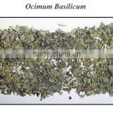 OCIMUM BASILICUM LEAVES thumbnail-1