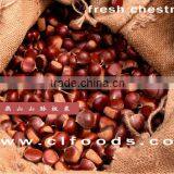 2014 new crop fresh chestnut