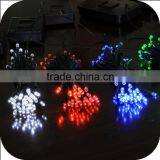 Solar Powered Christmas Lights