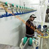 CHICKEN SLAUGHTER AND ABATTOIR MACHINE thumbnail-3