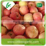 Best New Crop Fresh Red Fuji Apple thumbnail-4