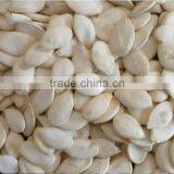 China Quality Supplier of Pumkin Seeds Shine Skin for Export Grade thumbnail-2