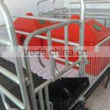 Piglet Incubator for Pig Equipment thumbnail-2