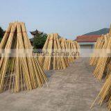 Bamboo Pole thumbnail-1