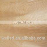 Linyi Supply Best Quality Rigging Hardware Item Chain Hoist thumbnail-3