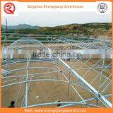 Agriculture Equipment Multi-span 10.8m Plastic PO Film Greenhouse for Sale thumbnail-6