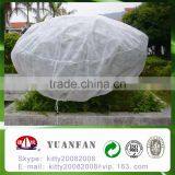 Customization Width and 15-100gsm,PP Non-woven,100% Polypropylene Material Tomato Plant Protective Cover