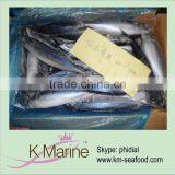 High Grade Sea Frozen Mackerel Whole Round thumbnail-1