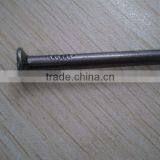 Common Wire Nail