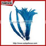 Dyed Color Big Long Natural Grizzly Rooster Feathers for Sale thumbnail-3