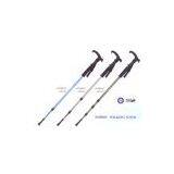 Hong Kong Nordic Walking Sticks thumbnail-1