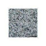 Grey Granite China Rosa Beta thumbnail-1