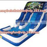 High Quality Inflatable Water Slide Medium Slide for Kids Play ID-SLM078