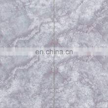 Foshan 600x600mm 6 Patterns 3D Inkjet Quality Italian Tiles Floor Tiles JBR6118H thumbnail-4