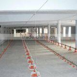 Poultry Automatic Feeding System