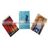 2012 Promotion Gifts thumbnail-4