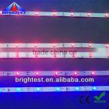 High Quality Led Ribbon Light Red Blue Green Color
