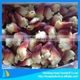 Frozen 21-25pc/kg Arctic Surf Clam thumbnail-1