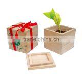 Wholesale Creative Gifts of Magic Bean for 2014 New Year Gifts thumbnail-1