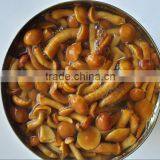 Canned Mushroom Nameko thumbnail-1