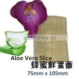 Fresh Aloe Salad thumbnail-2