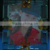 Selling Crystal Glass Picture Frame for Giveaway Gift(R-1132